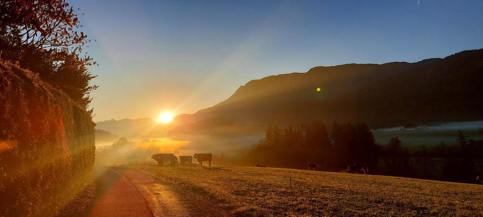Вилла Weinbachbauer - Urlaub Am Bauernhof Sankt Wolfgang im Salzkammergut Экстерьер фото