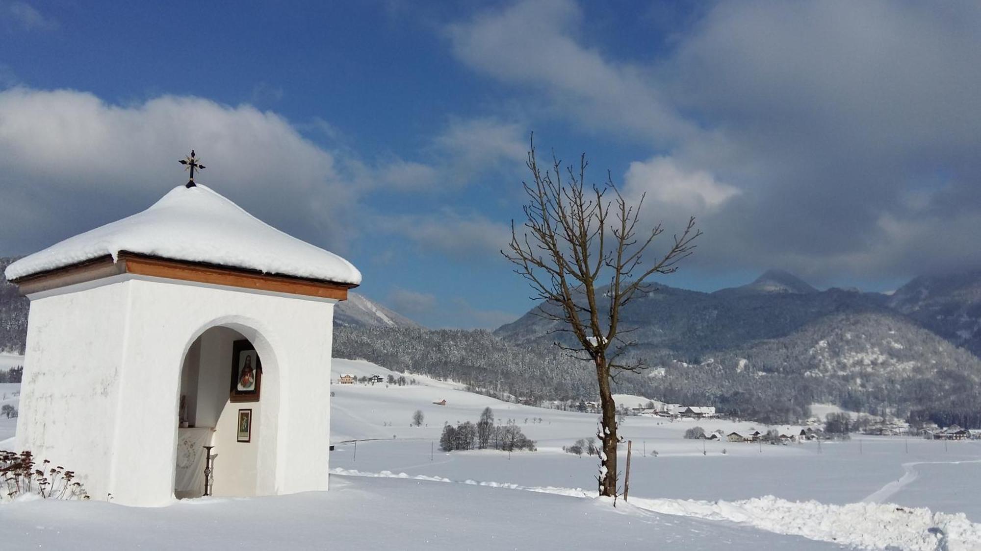 Вилла Weinbachbauer - Urlaub Am Bauernhof Sankt Wolfgang im Salzkammergut Экстерьер фото