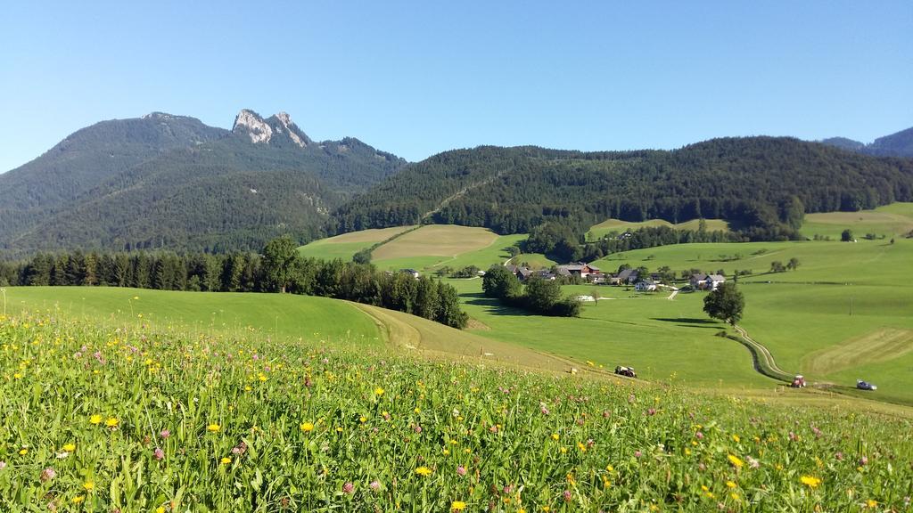 Вилла Weinbachbauer - Urlaub Am Bauernhof Sankt Wolfgang im Salzkammergut Экстерьер фото